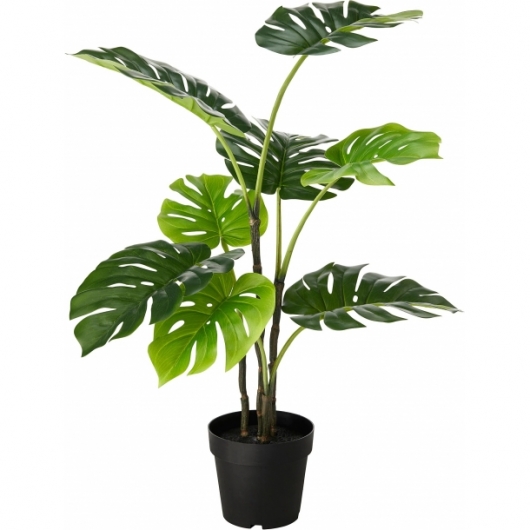 Искусственное растение Монстера 90 см в аренду