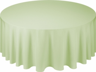 Pantone 2300 U