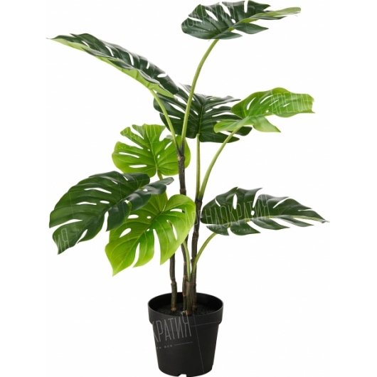 Искусственное растение Монстера 90 см в аренду