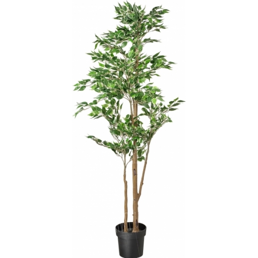 Искусственное растение Фикус Бенджамина 170 см в аренду