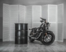 Фотозона с мотоциклом Harley Sportster 48 в аренду