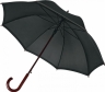 Зонт Umbrella в аренду