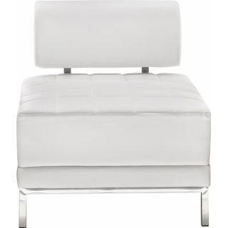 Module White