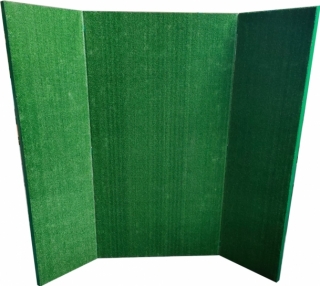 Grass